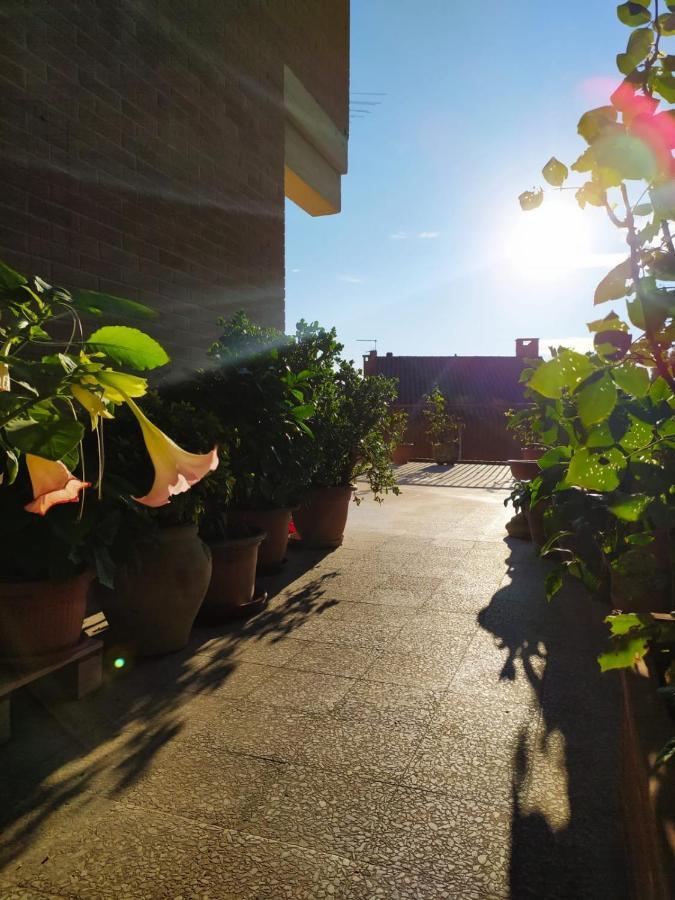 Residenza Damiano Hotel Assisi Exterior photo